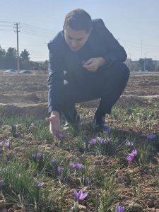 20251026 083428 225x300 - برندسازی جهانی زعفران ایران با حمایت وایپو کلید خورد